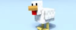 Minecraft Chicken