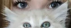 cat eyes