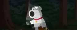 Brian Griffin